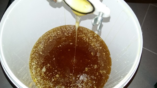miel frais à la sortie de l'extracteur