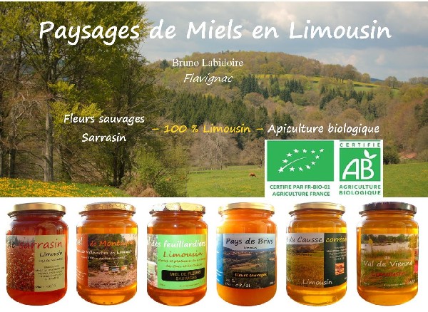 Goûter les paysages avec nos 5 miels de fleurs sauvages représentants des terroirs qui font l'identité limousine : Montagne, Causse, Val de Vienne, Feuillardier, Pays de Brive et le miel de blé noir ou sarrasin.